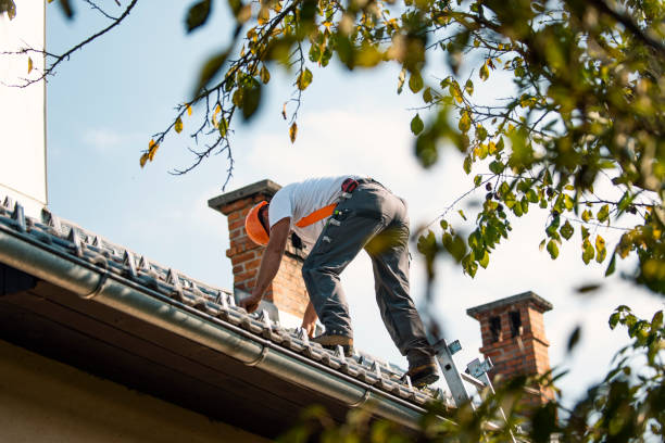 Roof Gutter Cleaning in Oakdale, PA